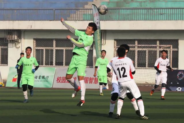 下载开宝体育官网